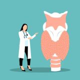 Endokrynolog w Toruniu – kiedy warto umówić wizytę?